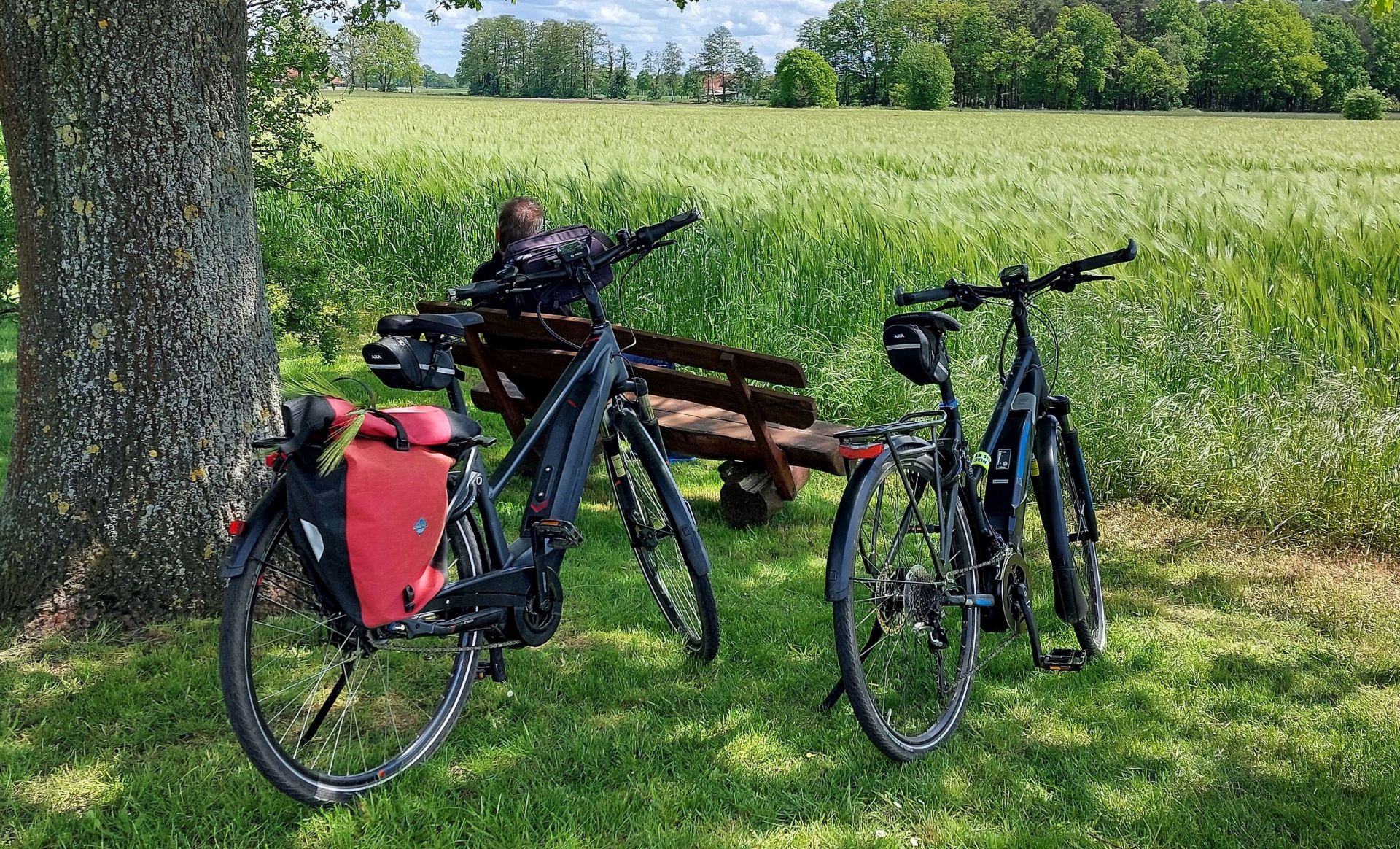 Fahrräder vor Getreidefeld