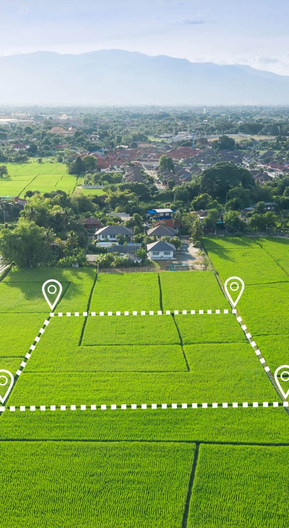 Luftaufnahme einer grünen Landschaft oder eines Feldes. Das Vermessungsgebiet ist hervor gehoben.