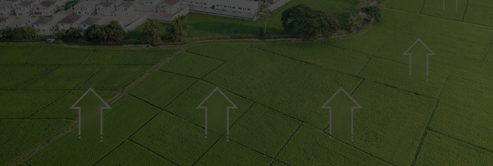 Bodenrichtwerte Hintergrundbild eine Sliders. Abgedunkelt im Hintergrund ist eine Landschaft. Auf Ihr sind Pfeile platziert, die nach oben zeigen und symbolisch für Bodenrichtwerte stehen sollen.