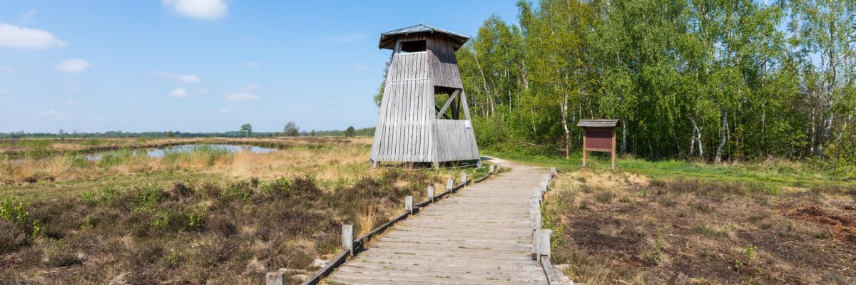 Wanderweg im Hiller Torfmoor, Gemeinde Hille, Norddeutschland