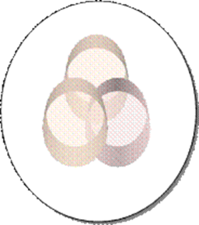 Das Logo von Inklusionspädagogik Schäfer