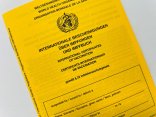 53_1_Masernschutz Ein gelber Impfausweis.