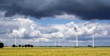 Windkraftanlage Ein Feld im Vordergrund. Im Hintergrund einige Windräder