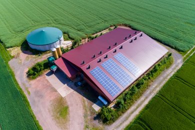 Schweinestall von oben Landwirtschaftlicher Betrieb von oben mit großem Stall und einer Biogasanlage neben dem Stall