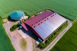 Landwirtschaftlicher Betrieb von oben mit großem Stall und einer Biogasanlage neben dem Stall