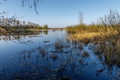 Ansicht eines Sees, vom im Wasserrand stehend aus fotografiert. Am Rande des Sees befinden sich Büsche und auf der Seite im Hintergrund auch einige Bäume.