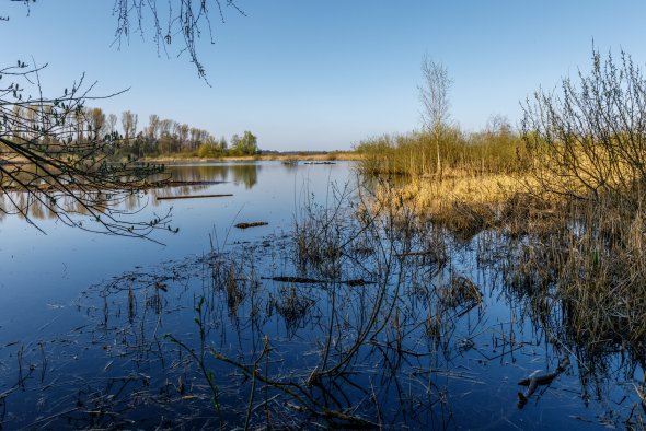 Ansicht eines Sees, vom im Wasserrand stehend aus fotografiert. Am Rande des Sees befinden sich Büsche und auf der Seite im Hintergrund auch einige Bäume.