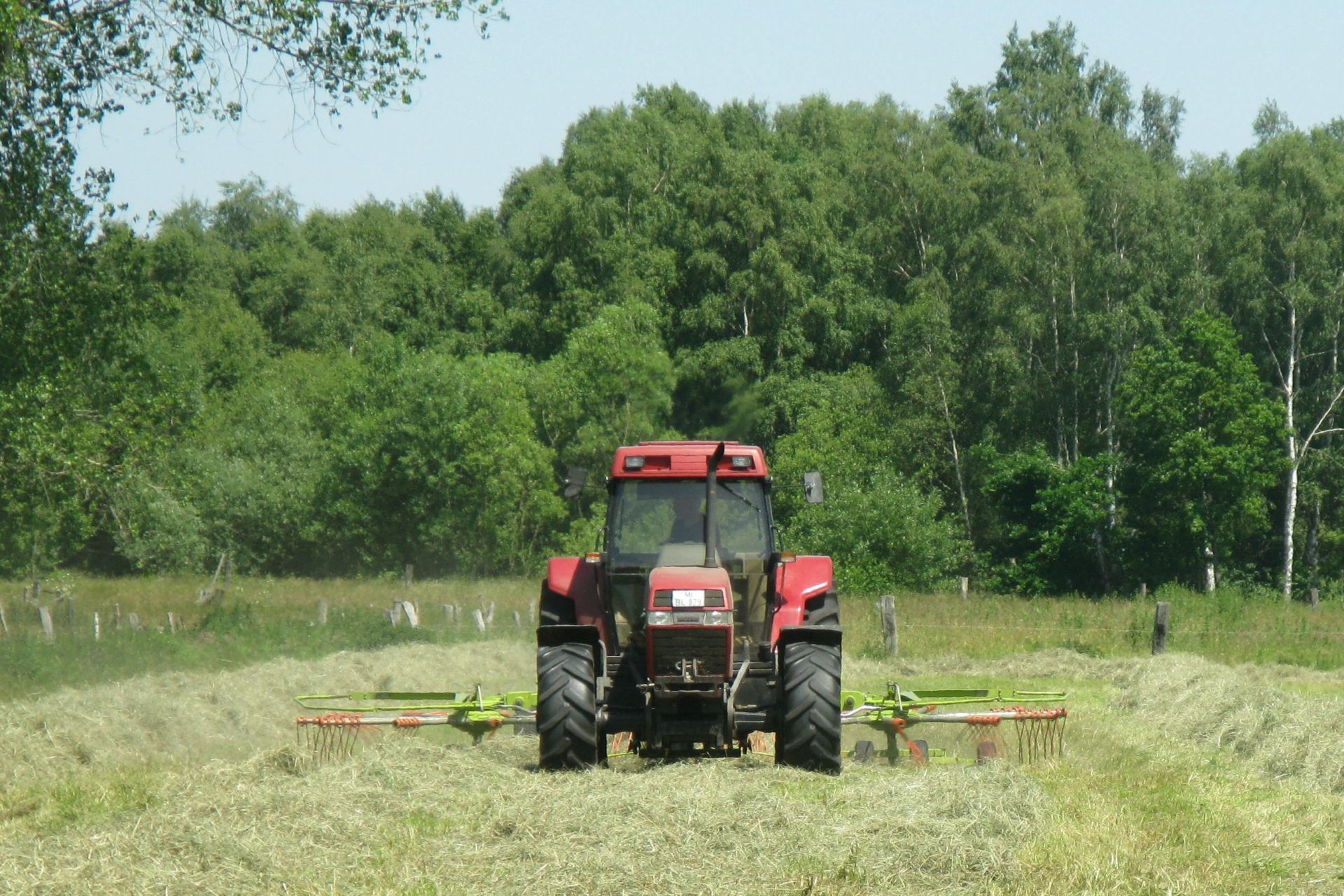 Roter fahrender Traktor auf einer grünen Wiese, der mit einem Heuwender das Gras bearbeitet